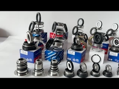 EA560D Burgmann bơm Mekanic Seal WQ Thủy thủ không cân bằng